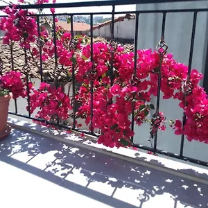 Casa Magnolia Boutique , Kusadasi Turkey